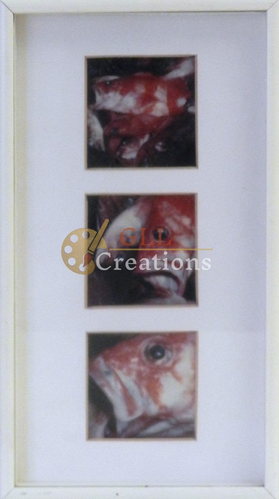 Red Fish Triptych