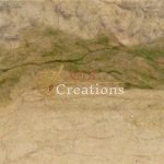 Coastline Lint Assemblage 6883526936 O