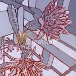 Epiphyllum Ii 7029657837 O Scaled