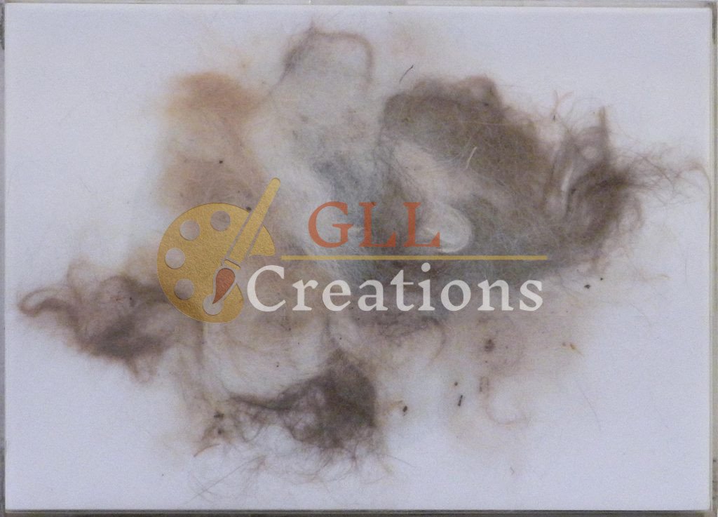 Gateado Cats Fur Assemblage 6883571988 O