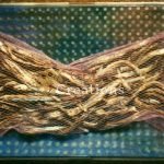 Dried Fish Net Still Life