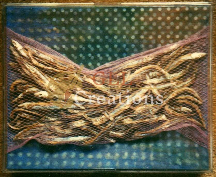 Dried Fish Net Still Life