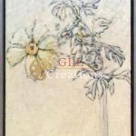 Matilija Poppies 8536277501 O Scaled