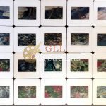 Untitled 24 Painted Slides 6883580464 O Scaled