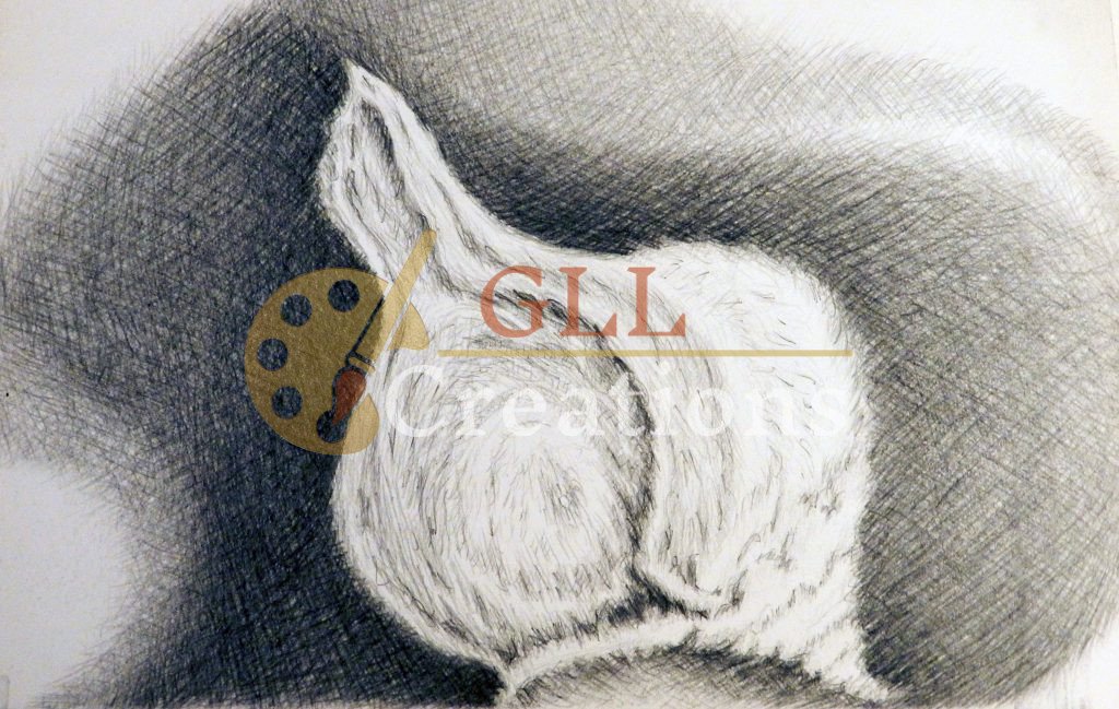 Untitled Pencil Drawing 6883601384 O Scaled