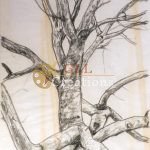 Untitled Tree Line Drawing 7029687507 O Scaled