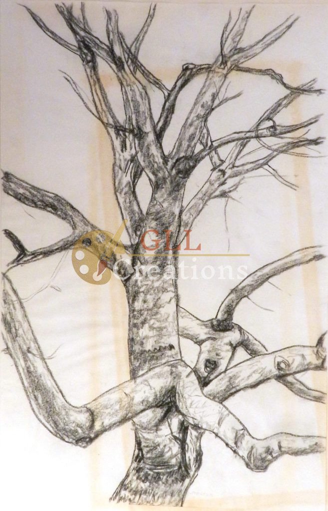 Untitled Tree Line Drawing 7029687507 O Scaled